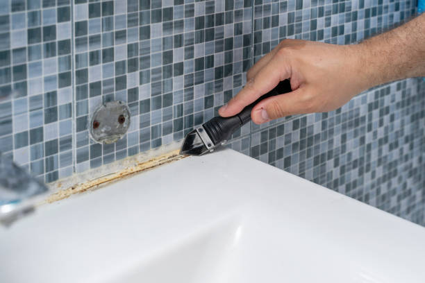 Best Best Mold Removal Companies  in Midway, FL