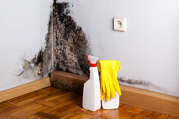 Water Damage Restoration in Midway, FL